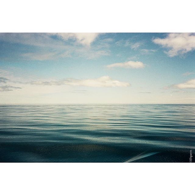 EhPem's tweet photo. Another #seascape from #HecateStrait #HaidaGwaii while aboard #PassingCloud complete with strange #lightleak. #believeinfim #filmisnotdead #olympusmju2 #travelphotography #travel #gohaidagwaii #BCisbeautiful #twitter #pointandshoot #stylusepic #seaandsky… https://t.co/Vf6T8ZGQc4 https://t.co/TL0GVm3WKj