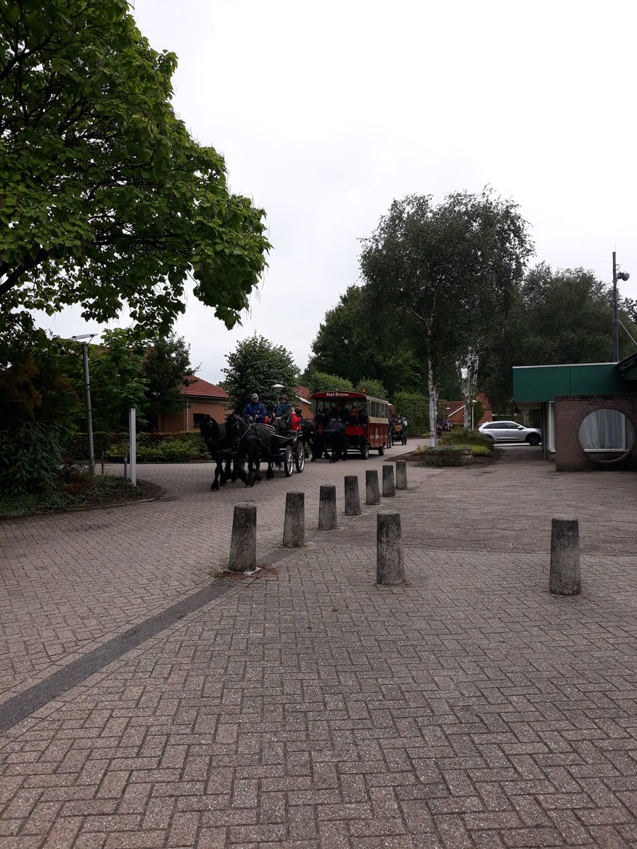 GVeldscholte's tweet photo. @DTZC  vandaag weer met 140  personen deelgenomen aan de koetsentocht. Koetsen Kerels bedankt https://t.co/7UeWPCY05o