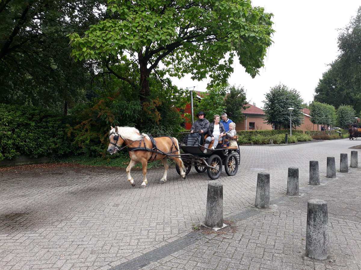 GVeldscholte's tweet photo. @DTZC  vandaag weer met 140  personen deelgenomen aan de koetsentocht. Koetsen Kerels bedankt https://t.co/7UeWPCY05o