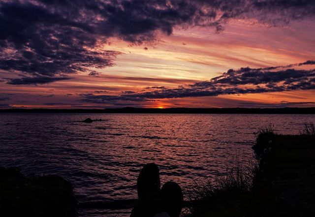 Watching the sunset a few nights ago at Pirkkala, Finland. 
#sunsetcolors #sunsetlake #sunset #sundown #pyhäjärvi #silhouette #dusk  #finland #nordics #suomi #nordicsunsets #igsunset ift.tt/2YX2V40