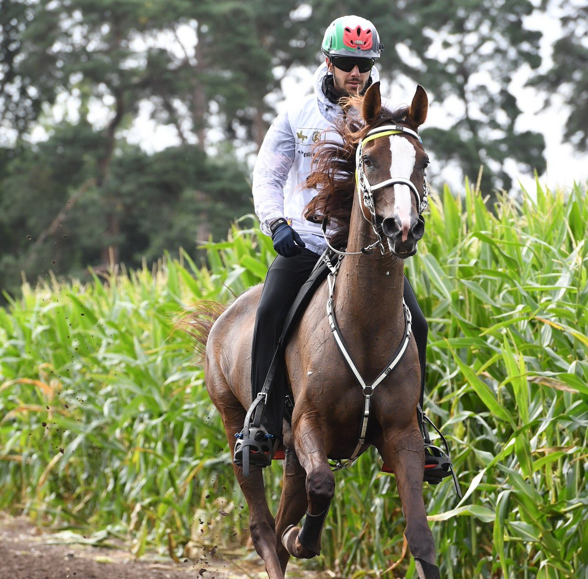 We have our winner of the CEIO2* 120km - Salem Hamad Al Kitbi riding As Banderazo for the UAE - congratulations! What an amazing ride #eustonparkendurance