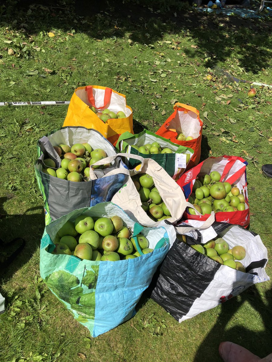 PeoplesFridge's tweet photo. Our volunteers picked hundreds of apples from a West Norwood Garden today. But we need your help to use them up - please spread the word and help yourself from the People’s Fridge in Brixton #apples #freefood #community #lambeth #brixton https://t.co/h6O9JuutUH