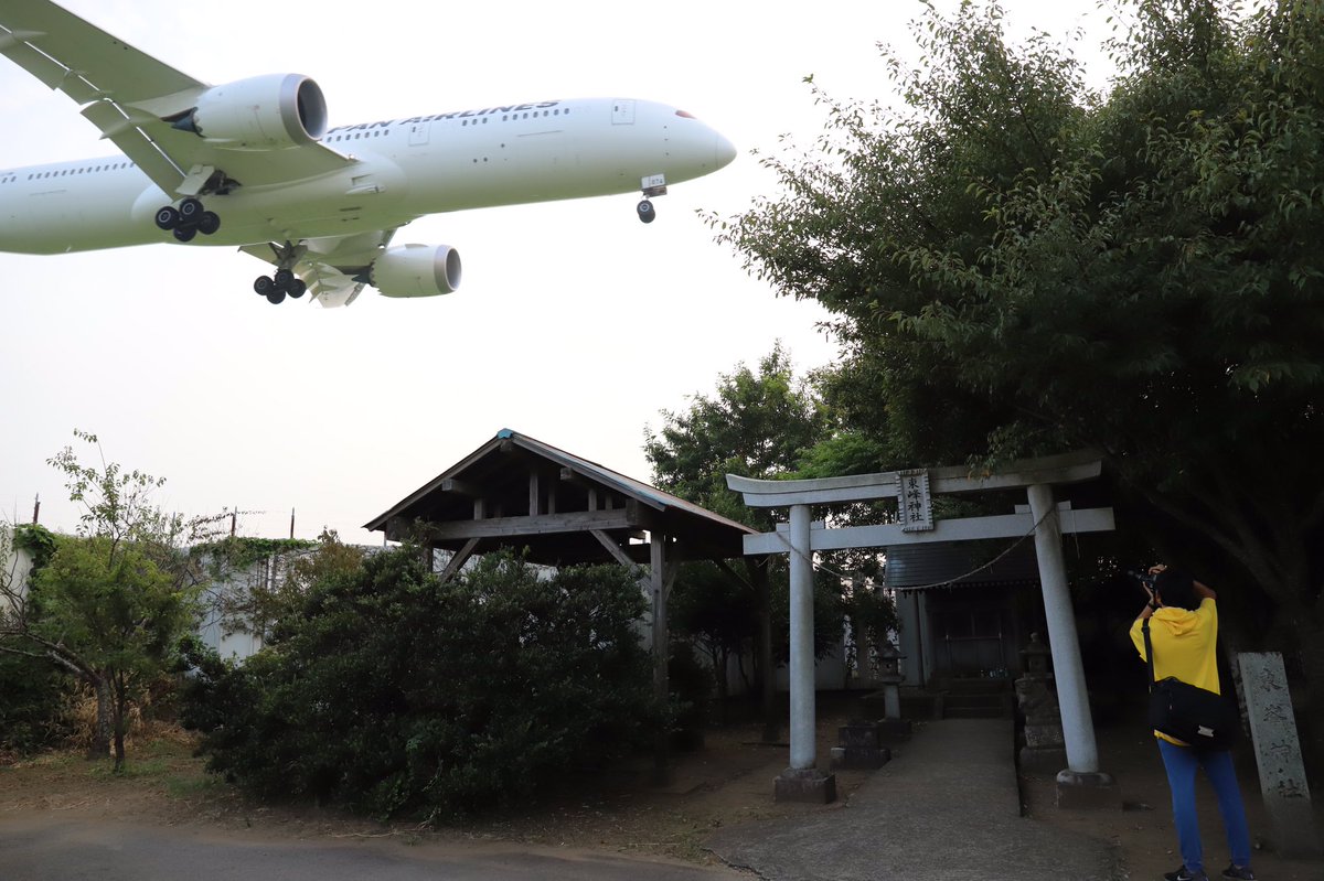 倅 Trsene V Twitter