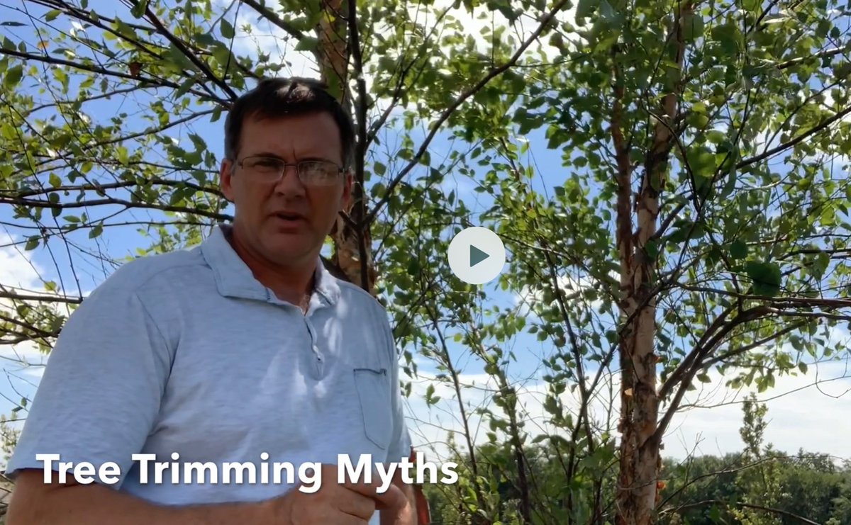 Olson Tree Care (OlsonTreeCare) Twitter