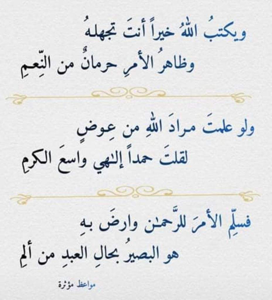 sama sama (@sama85867546) on Twitter photo 