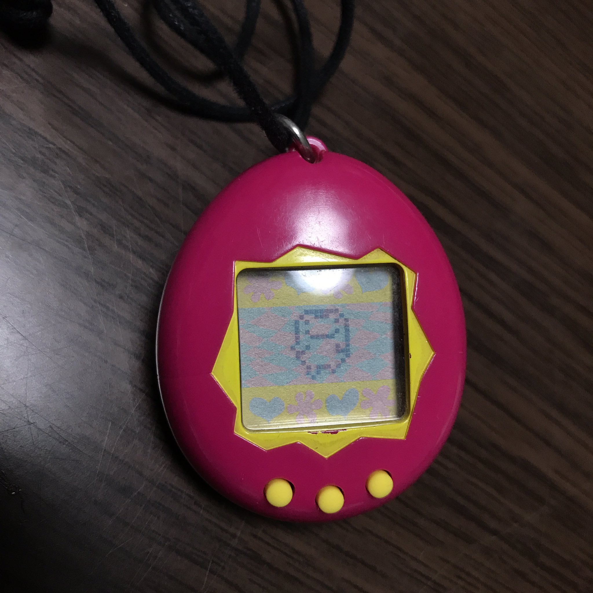 とりかわ なつばて 初代たまごっち 進化したー ぎんじろっちになったみたい 一方 娘は3日前から熱を出して困っています ˇ ˇ なんの熱なの 風邪なの 初代たまごっち 英語版 T Co Htfxdkw0ez Twitter