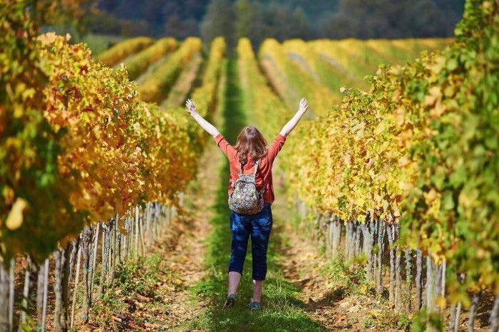 MontillaMoriles's tweet photo. 30 ideas para hacer enoturismo por España durante este verano
“Vino y flamenco se unen en la 45 edición de la #CataFlamenca organizado en la localidad cordobesa de Montilla, perteneciente a la Ruta del Vino de Montilla-Moriles” https://t.co/OHTfNdCOyN https://t.co/P64InGzPkQ