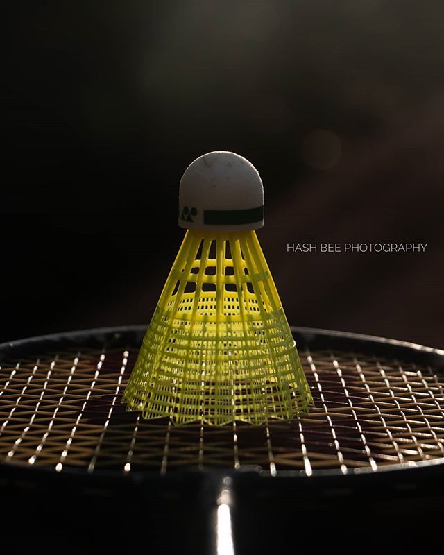 AshbyAsk007's tweet photo. Play time..
.
#dslr_official #indianclicks #i_u_p #incredibleindiaofficial #indianphotographers #photogtaphy__repost #soc_5 #photographyislife #eyewinawards #lensmenofficial #iclickshutter #indian_raw_talent #i_hobbygraphy #_coi #official_photography_hub… https://t.co/hBDVjNR6l9 https://t.co/ExnGugwgwC