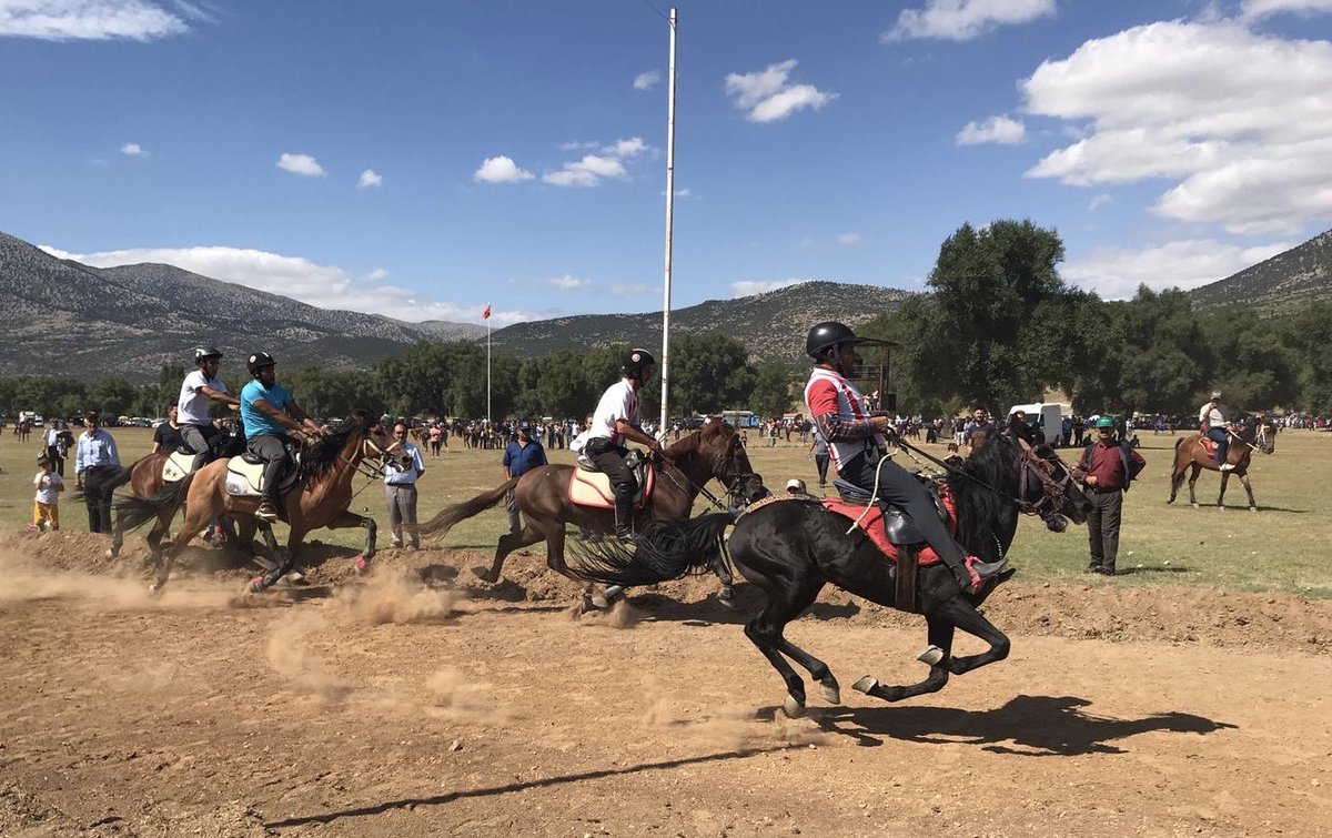 Ozturkdenizli's tweet photo. Tavas Kızılca Rahvan at yarışları(Rahvan atlar,Orta Asya'dan Anadolu'ya göç eden Türklerle birlikte gelen gerçek Türk atlarıdır) Rahvan tutkunları, bu atın üzerinde hareket halindeyken bir fincan kahveyi dökmeden kolaylıkla içebileceğinizi söylerler. #RahvanAt https://t.co/oIadEDrLkh