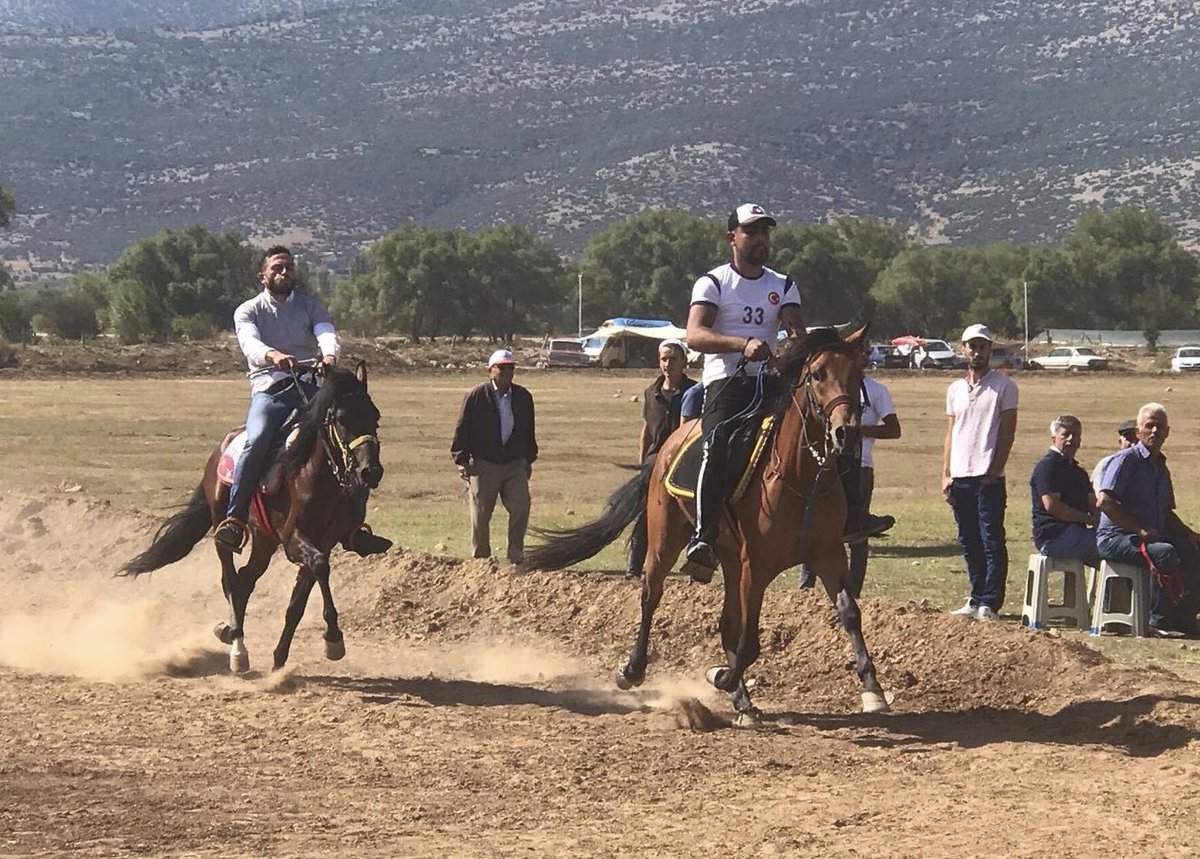 Ozturkdenizli's tweet photo. Tavas Kızılca Rahvan at yarışları(Rahvan atlar,Orta Asya'dan Anadolu'ya göç eden Türklerle birlikte gelen gerçek Türk atlarıdır) Rahvan tutkunları, bu atın üzerinde hareket halindeyken bir fincan kahveyi dökmeden kolaylıkla içebileceğinizi söylerler. #RahvanAt https://t.co/oIadEDrLkh