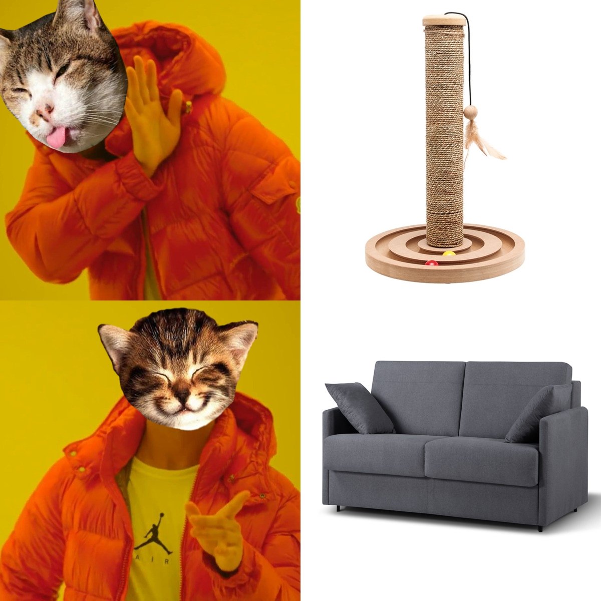 _Som6ra's tweet photo. Cats be like https://t.co/bYjelzczzZ