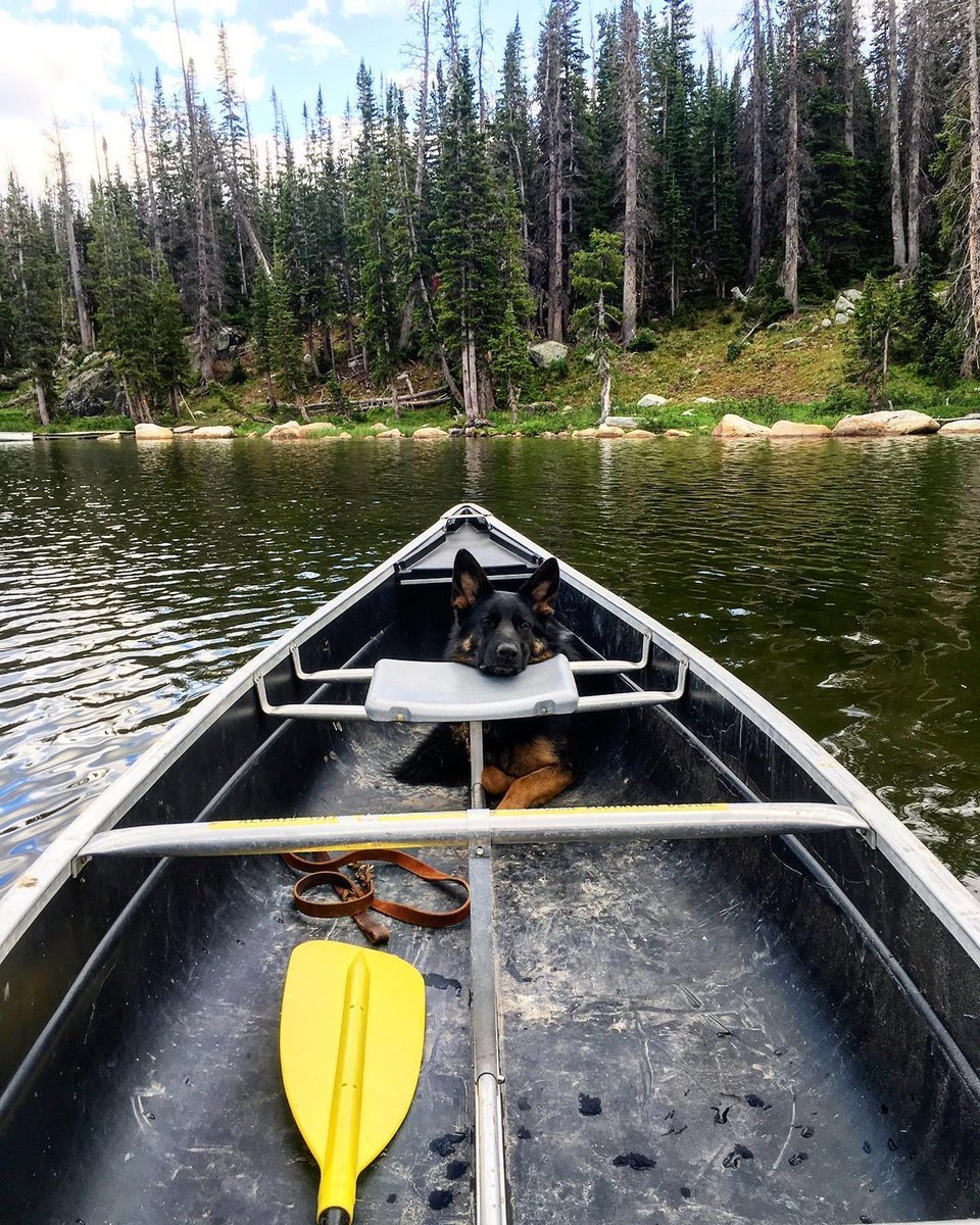visitlaramie's tweet photo. Canoeing and Fishing! #ThatsWY #SnowRange #Flyfishing

Dip your oars in the area’s pristine alpine lakes, roaring rivers or placid ponds, and spend an afternoon watching eagles soar.

Photo by @not_so_rebel_child https://t.co/nZmTyqmzEQ