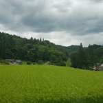 ツイートに含まれる画像