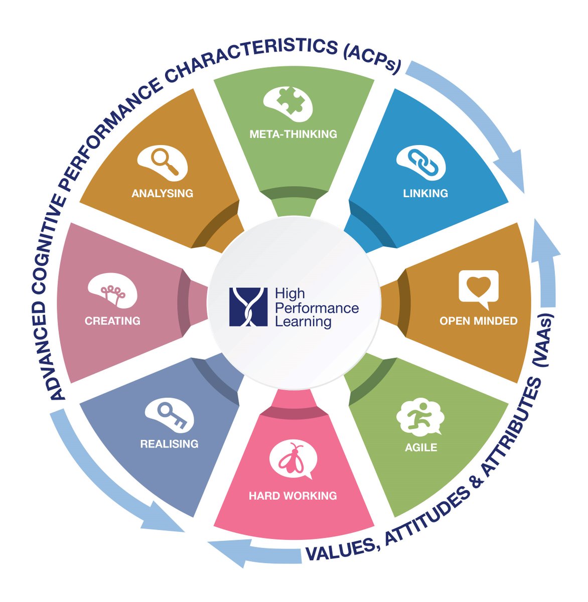 the complement system novel roles in