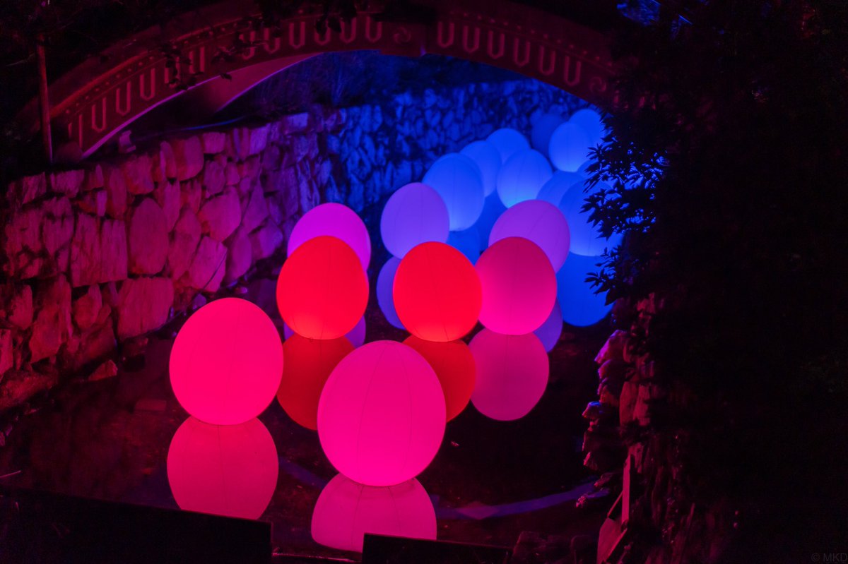 donalddask's tweet photo. 「下鴨神社 糺の森の光の祭 Art by teamLab - TOKIO インカラミ」 https://t.co/Qz7Hws2BsO