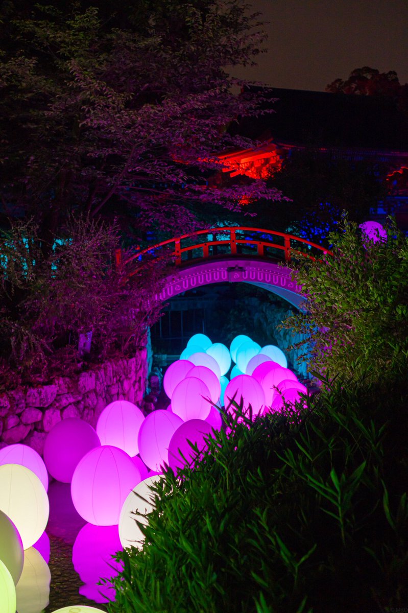 donalddask's tweet photo. 「下鴨神社 糺の森の光の祭 Art by teamLab - TOKIO インカラミ」 https://t.co/Qz7Hws2BsO
