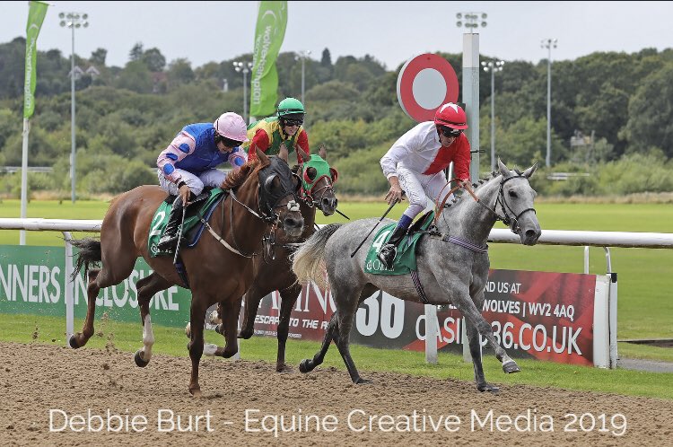 Arabian Racing Organisation tweet media