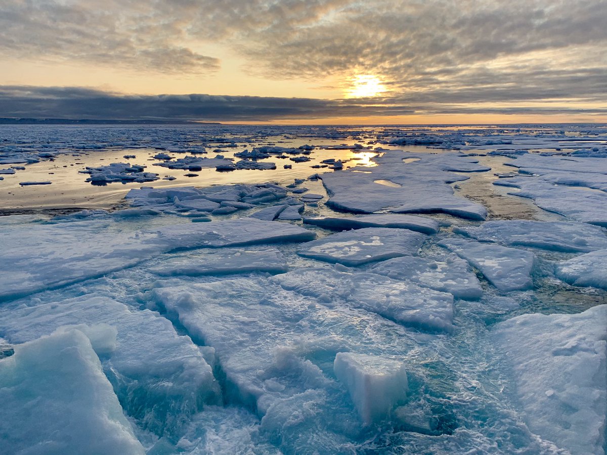 Laboratory for Ocean Sensing - C2PO tweet media