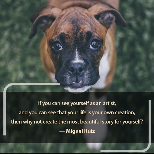 glenn_hamburger's tweet photo. If you can see yourself as an artist, and you can see that your life is your own creation, then why not create the most beautiful story for yourself?- Miguel Ruiz
#mindset #thinkpositive #visualiize #pushyourself #highperformancegenx #thinkbigsundaywithmarsha https://t.co/Z5LL5IzQ88