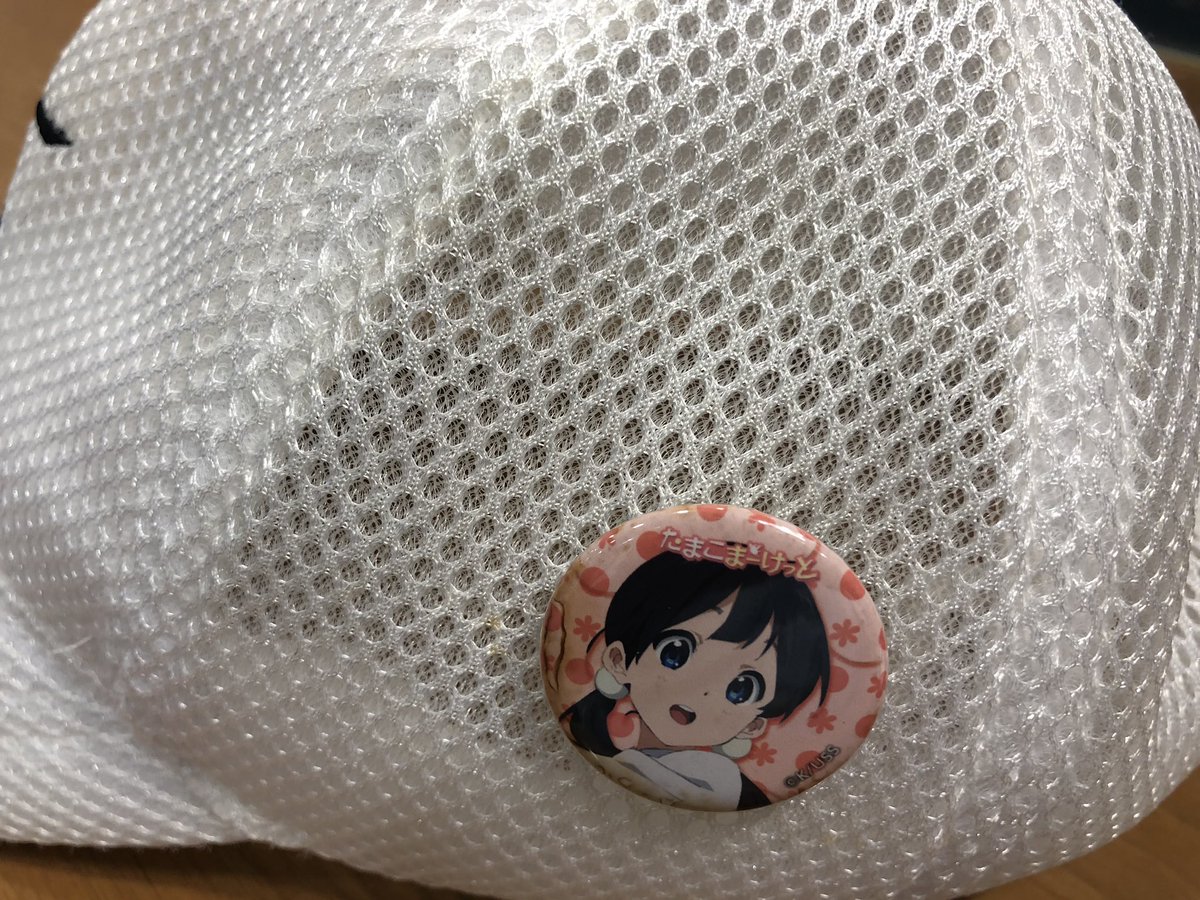 漫画 やがて君になる 彦根 京都編 舞台探訪 記録 Togetter