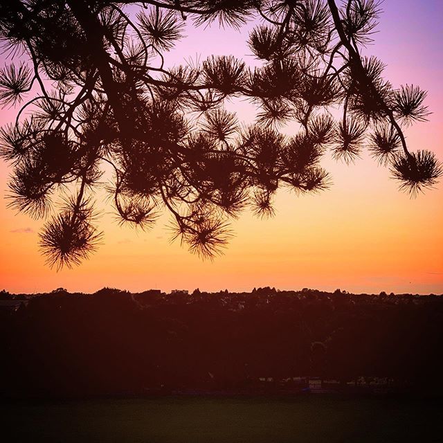 Sunset in Luton
🌅
🌅
#sunset #luton #popesmeadow #silhouette #sky #colours #highcontrast #loveluton ift.tt/30hjOD4