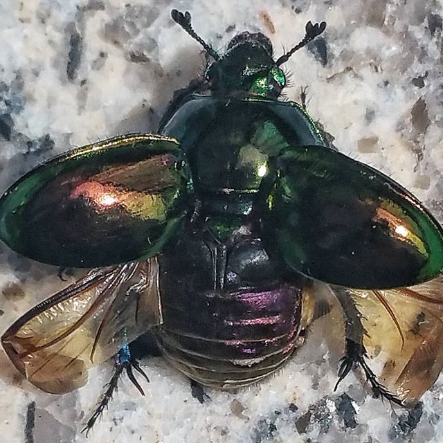 A punt per l'enlairament... ift.tt/31SCPMB