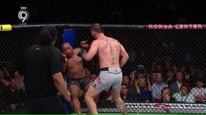 I_AM_NOT__PAPA's tweet photo. @Yung_sandwich69 @ufc YOU GOT SOME FOR THIS??? https://t.co/hIhkGFEmAk