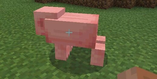 FrxncisLib4d's tweet photo. WTF---' https://t.co/8EkMy12nsT