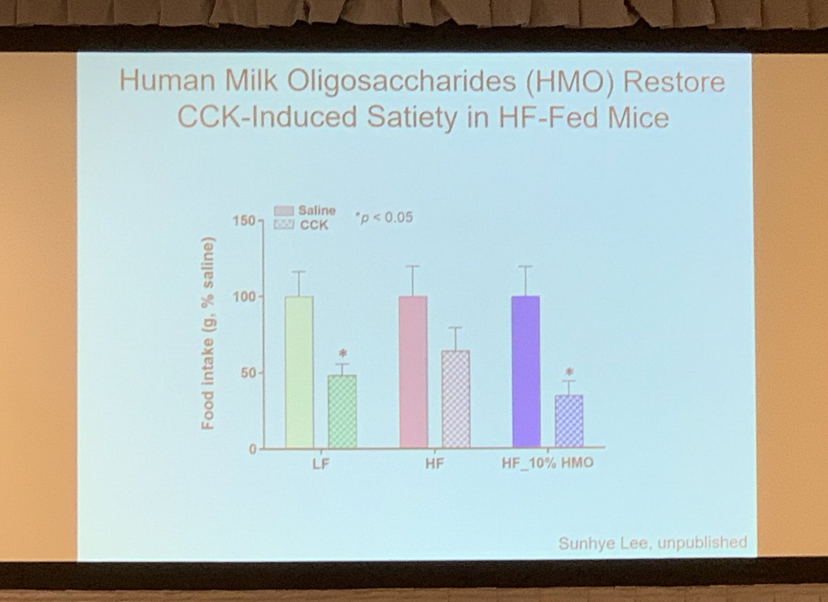 WalterChanMD's tweet photo. Dr. Raybould: Manipulation of gut #microbiota with #prebiotic (milk oligosaccahrides) may decrease diet-induced #weight gain and #adiposity, increase intestinal permeability, and restore satiety in animal studies. #ANMS2019 https://t.co/8rBqC9jR2A