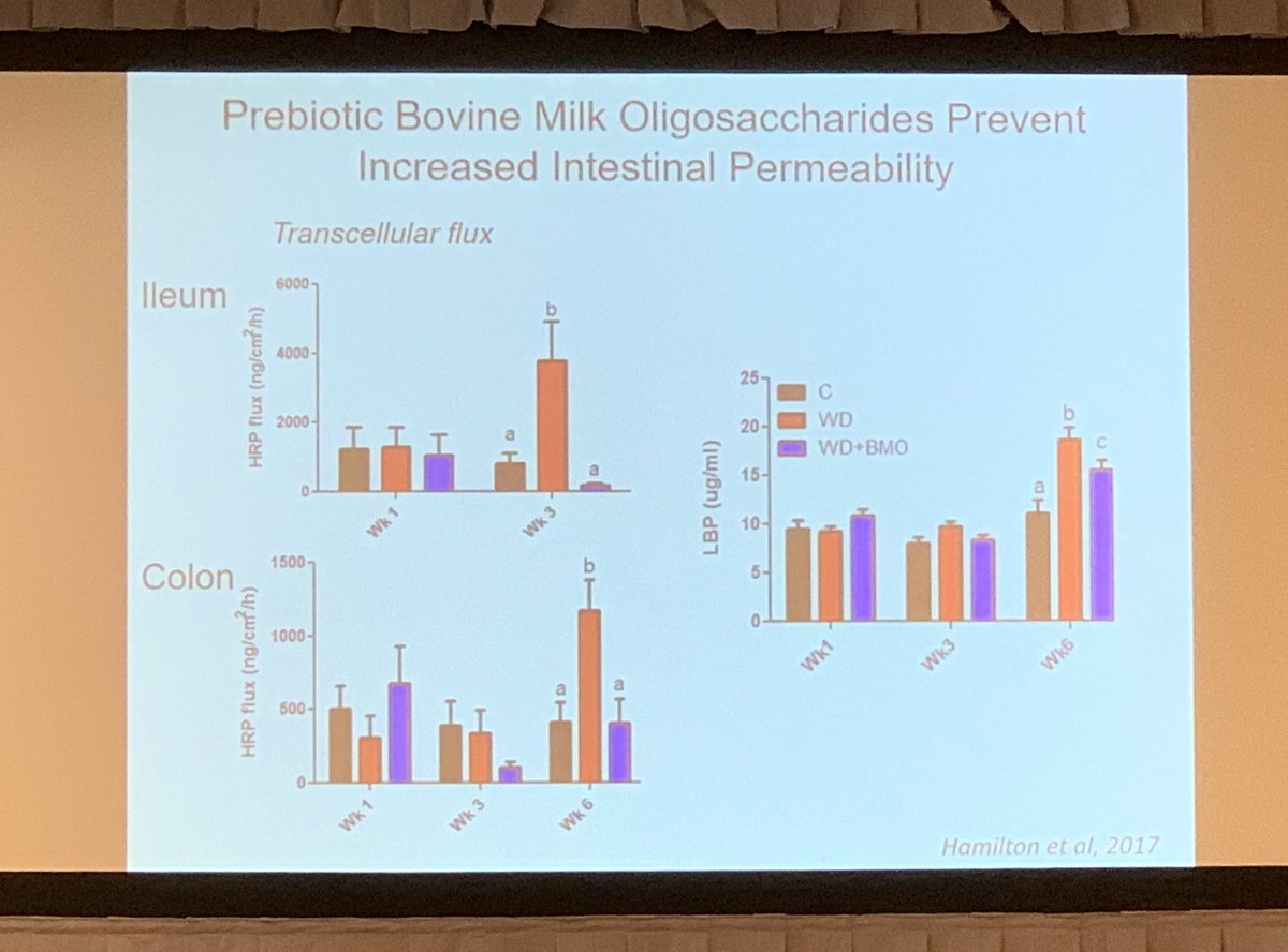 WalterChanMD's tweet photo. Dr. Raybould: Manipulation of gut #microbiota with #prebiotic (milk oligosaccahrides) may decrease diet-induced #weight gain and #adiposity, increase intestinal permeability, and restore satiety in animal studies. #ANMS2019 https://t.co/8rBqC9jR2A