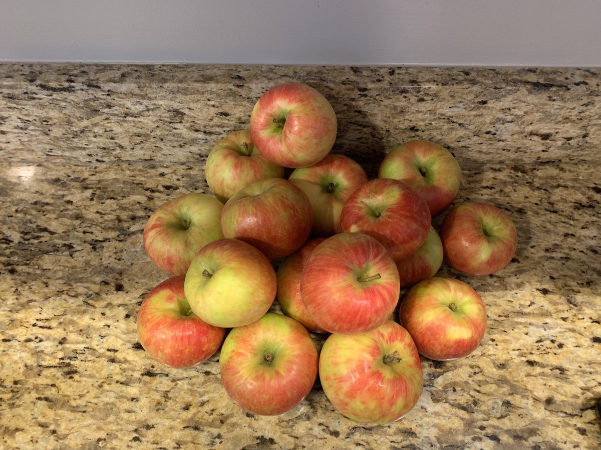 A quick trip to the Dale City Farmer’s Market and I’m ready for the school year to begin! I start every year with a honey crisp apple for snack! #favoritesnack #readyforfall