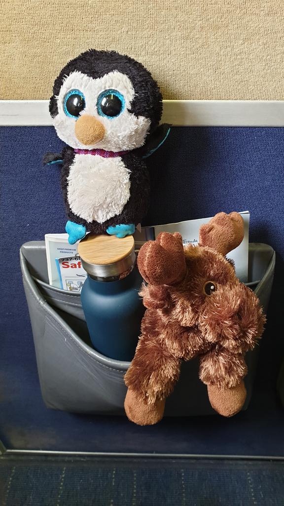 Trott_WCA's tweet photo. My friend Petit pingouin and Älg found their cool places on the @flysas 737-700 to Paris https://t.co/vWMR8QbrnE