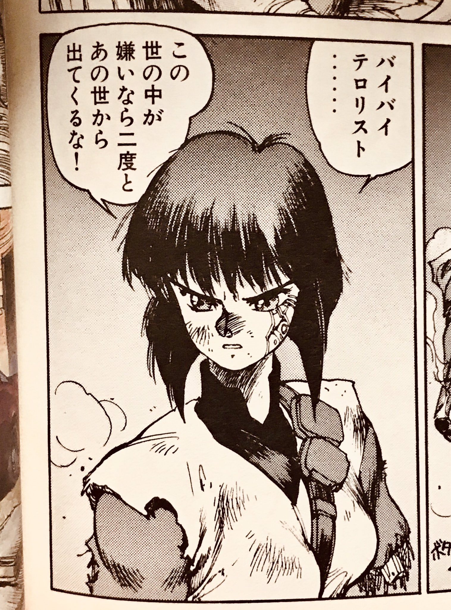 q 普段ほとんど使わないが実は好きな日本語 バイバイテロリスト この世の中が嫌いなら二度とあの世から出てくるな 攻殻機動隊 草薙素子 T Co Wicbojdlrk Twitter