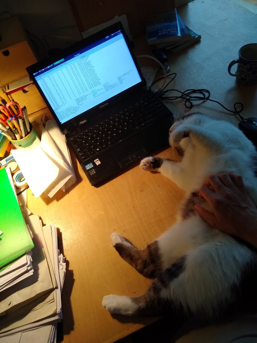 A_Kloch's tweet image. #freebayes assistant in action