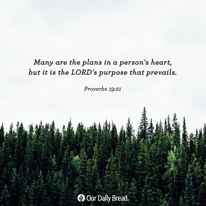 HisChild77777's tweet photo. Many are the plans in a person’s heart, but it is the Lord’s purpose that prevails.

Proverbs 19:21 https://t.co/Nnp9ITp6Bx