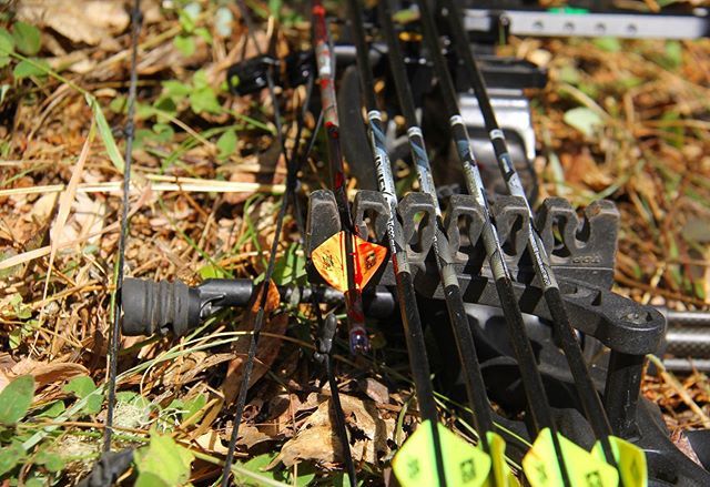 The only time I’m happy about breaking an arrow!
•
•
•
#oregon #bowhunting #getseriousgethoyt #easton @hoytbowhunting @eastonarchery