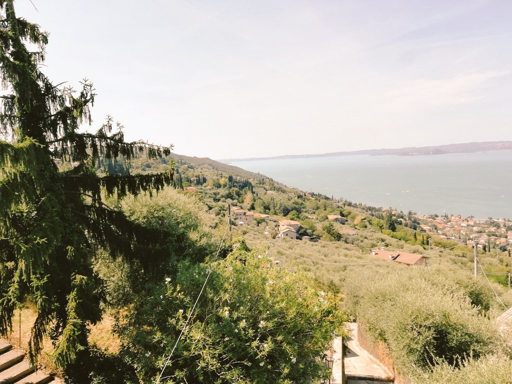 AldinaConsolini's tweet photo. "I ponti uniscono
I muri dividono"
Trra i boschi che mi videro bambina,
una sorpresa:
Il ponte tibetano,inaugurato da poco,sormonta una valle temuta per la sua pericolosità
#Lavoro dell'uomo
#bellezzal della Creazione
#campagna
#lemieradici
#lagodigarda
#18agosto
#BuonaSerata https://t.co/qUGySPYePg