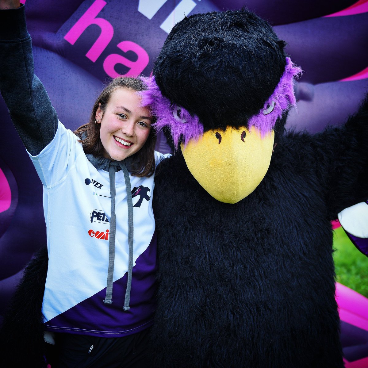 Night Hawk tweet media