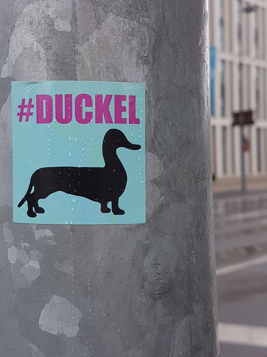 BColiflower's tweet image. Have you ever seen a #duckel ?