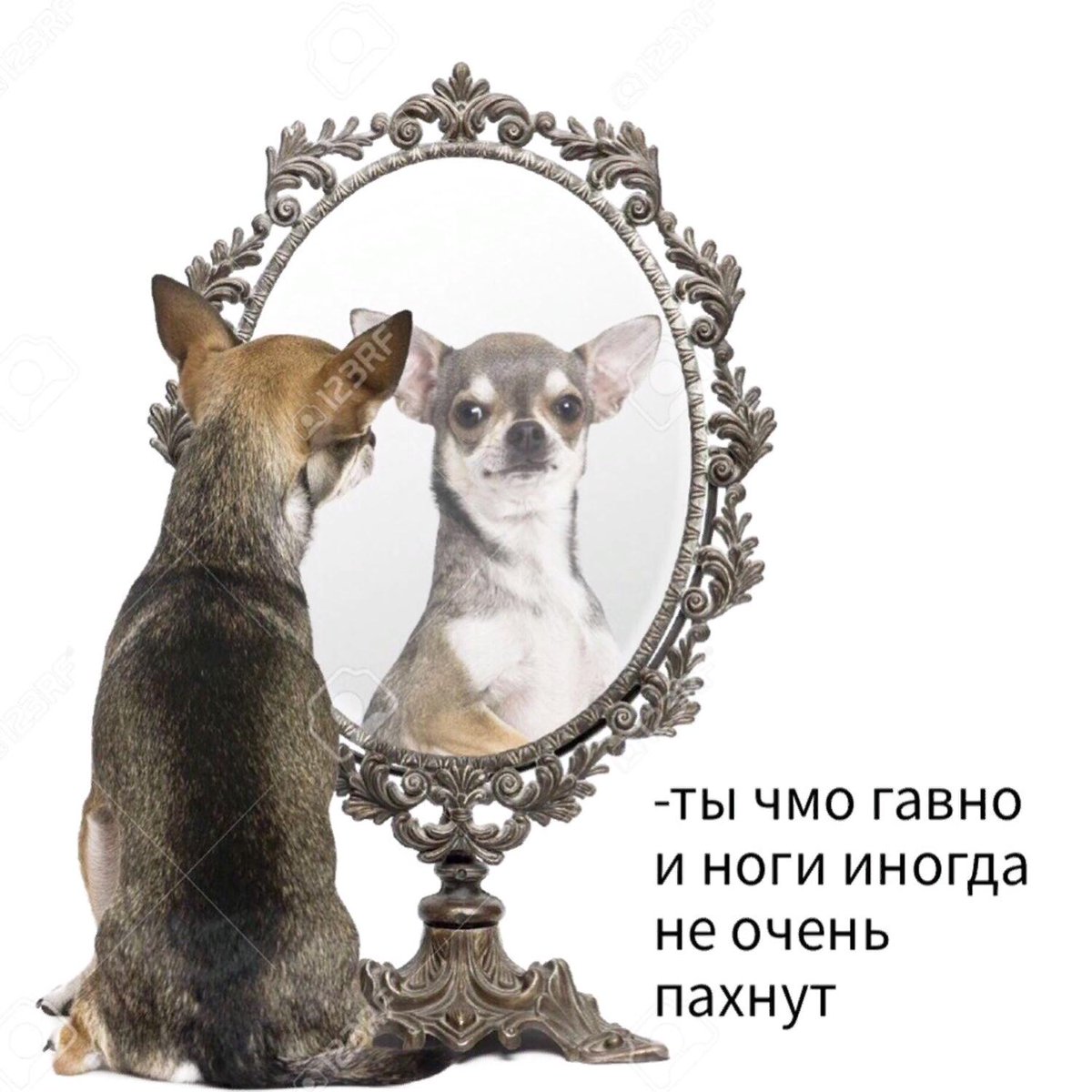 grust0 tweet picture