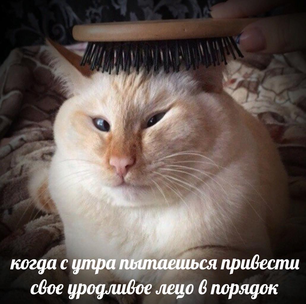 grust0 tweet picture