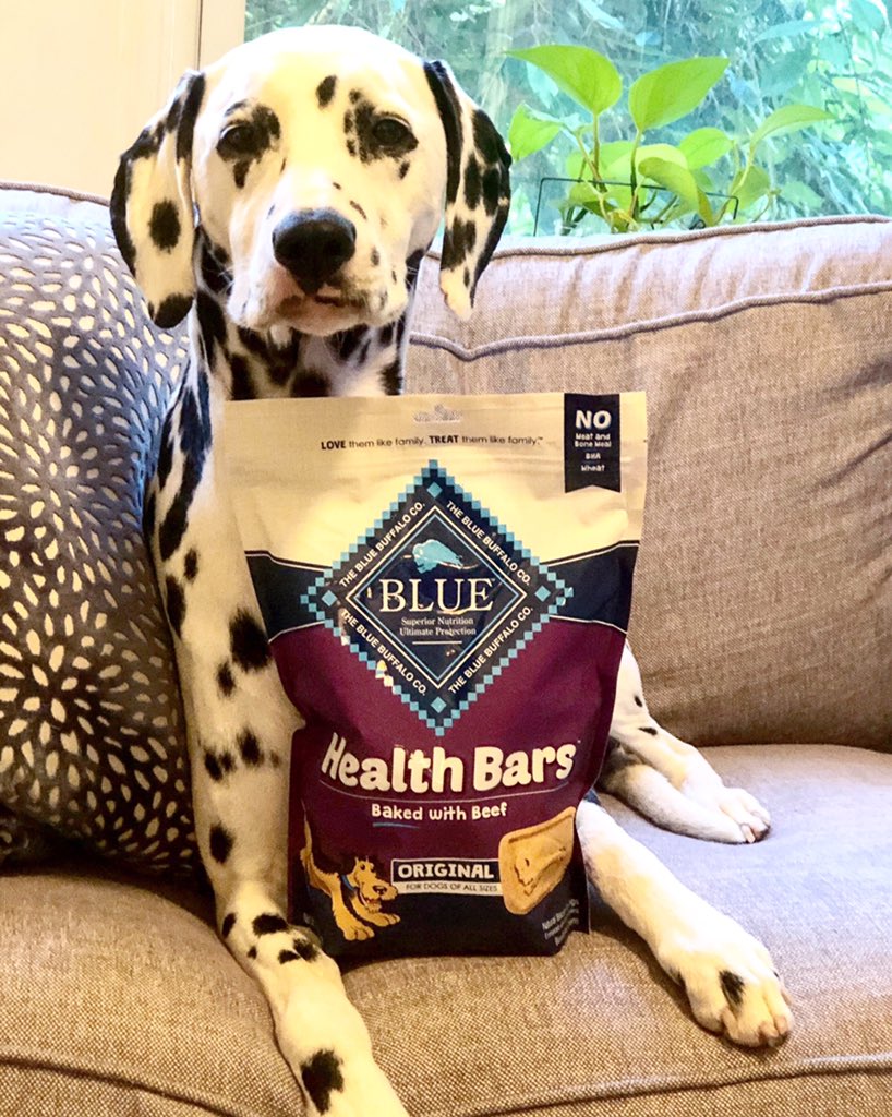 erniespotted's tweet photo. We’ve all gotta treat ourselves every now and then, right? And what better way to treat yoself than with @bluebuffalo treats! Click this link for a coupon and to learn where you can find tasty treats like these Blue Health Bars! https://t.co/rd2oAM3cly #sponsored https://t.co/yQ05CR7AmR