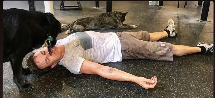 Moyachirps's tweet image. #SweatySunday #StephenMoyer 💧😍