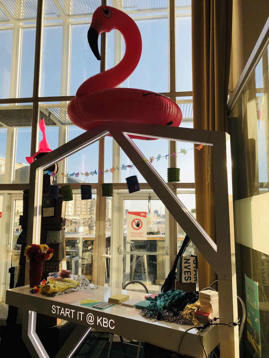 Bea Cleeren tweet media