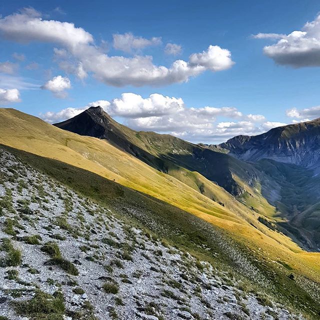 chrisilvi's tweet photo. #mountains
#landscapephotography #marchedaricordare #igersmarche #igersitalia #marchetourism #raccontidimarche #destinazionemarche #trail #track #natura #trekking #igersmacerata #vetta https://t.co/FlVzOYMZkf https://t.co/8MmtqhLQLt