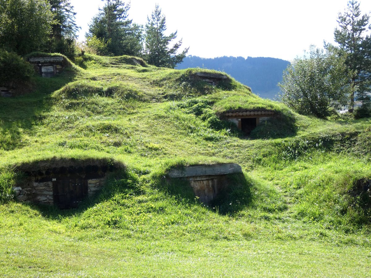 Stano77754804's tweet photo. Pivničky na zemiaky v obci Liptovská Teplička
#slovakia #beautifulslovakia #carovneslovensko #landscape #hobbitown https://t.co/5fpY9oFHHi