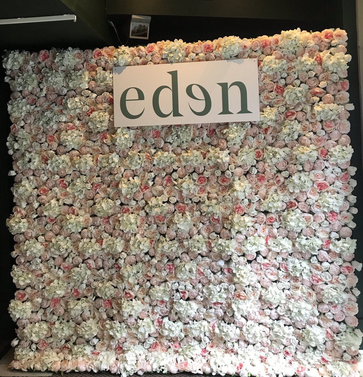 starlightvd's tweet photo. Pink Blush Flower Wall for the Eden Manchester Launch Night. Congratulations! 🌸💗
#flowerwall #launchparty #eventinspiration #eventdecor #flowerbackdrop #eventplanning #photography #eventdresser #venuedressing #flowerwallhire #eventstyling #eventstylist #eventplanner https://t.co/04tR8RnOo6