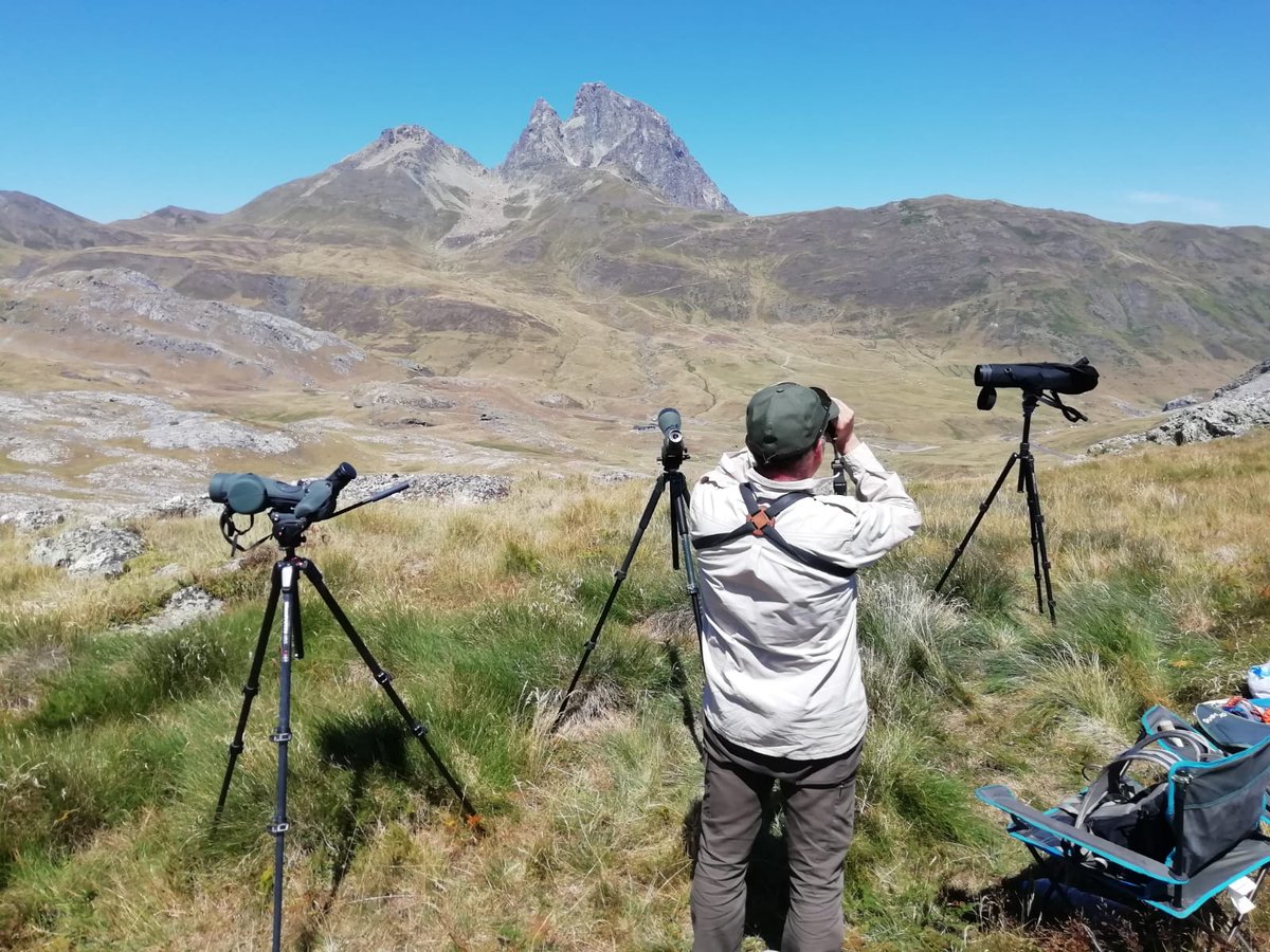 Espectacular paso de vencejo común ayer día 17-08-2019 (mínimo 6.020 ex) y 23 vencejos reales. También avión zapador y 118 milanos negros <a href="/SEO_Aragon/">SEO_Aragon</a> <a href="/SEO_BirdLife/">SEO/BirdLife</a> <a href="/somport_SEO/">migracionsomport_seo</a> <a href="/fratercula73/">Marco</a> <a href="/BirdingLindus/">Bird watching LINDUS</a> <a href="/Altogallegoturi/">PirineosAltoGállego</a> <a href="/cJacetania/">Comarca Jacetania</a> @GanNavarra <a href="/LPOAk/">LPO Aquitaine</a>