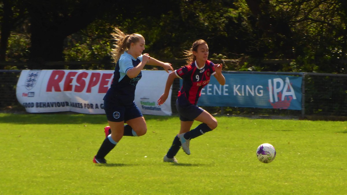 New Milton Town Women FC tweet media