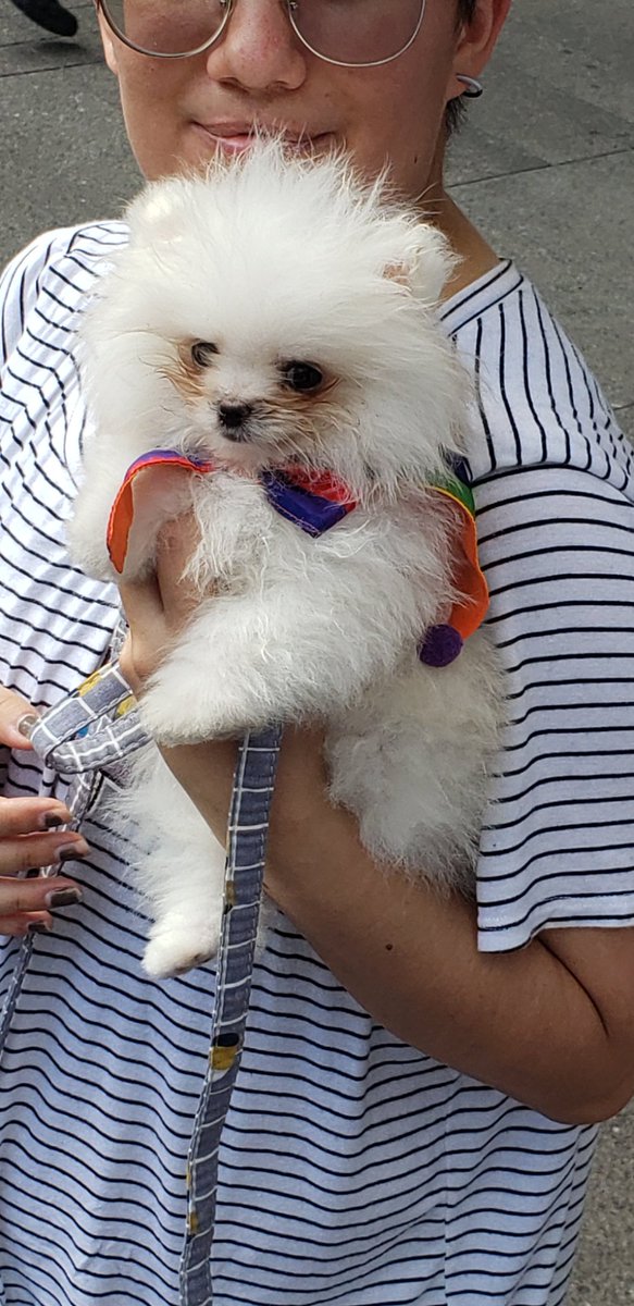 TrashRix's tweet photo. Bilo says gay rights!!! https://t.co/o2qK8iHcxo
